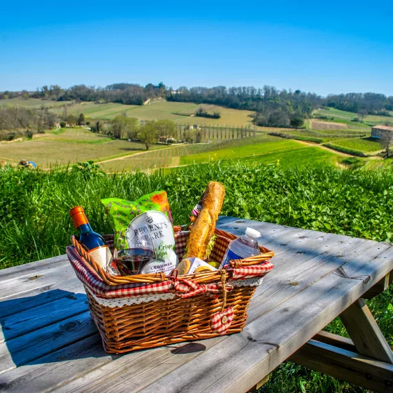 Château La Croizille picnic and tour – vineyard visit with wine